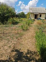 Продам свой участок. 