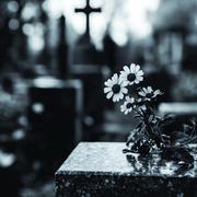 Ритуальные услуги и груз 200 в Харькове